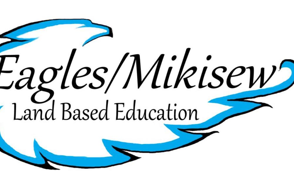 eagles miskew logo